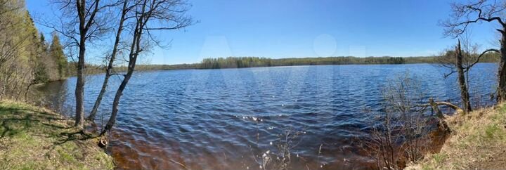 Участок 1,64 га (ИЖС)