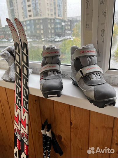 Беговые лыжи LS brados