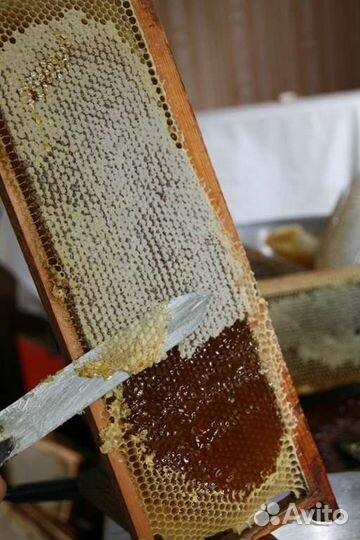 Натуральный мёд 2023