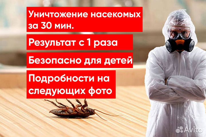 Уничтожение клопов, Уничтожение тараканов,Грызунов