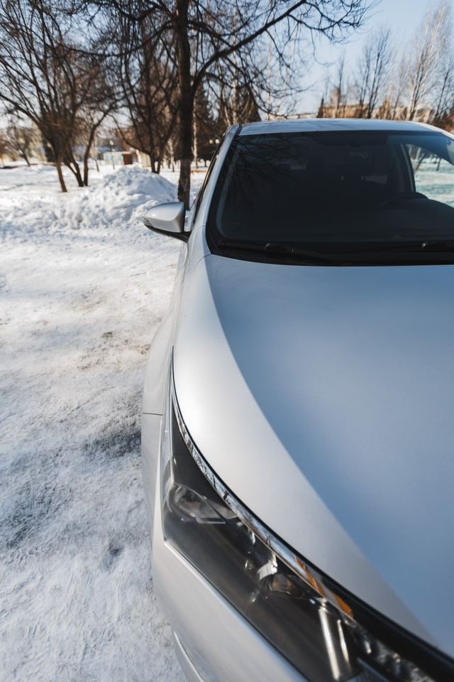 Toyota Corolla: фото владельца
