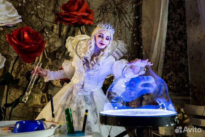 Аниматоры, шоу программы, спектакли