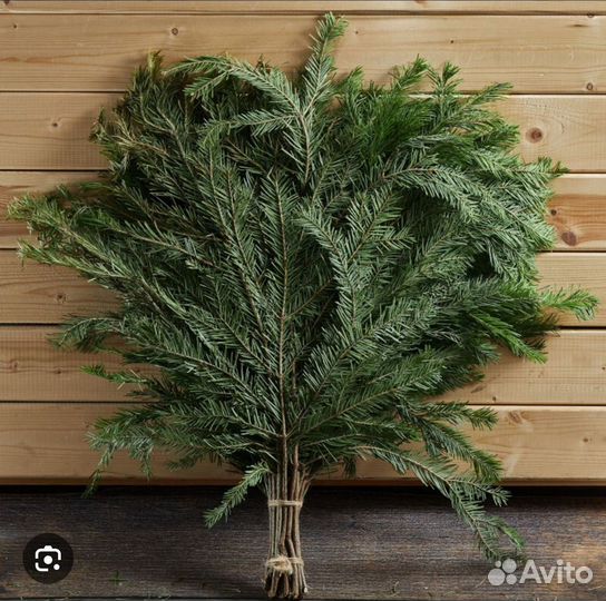 Пихтовый веник