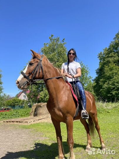 Прогулка, обучение, праздники