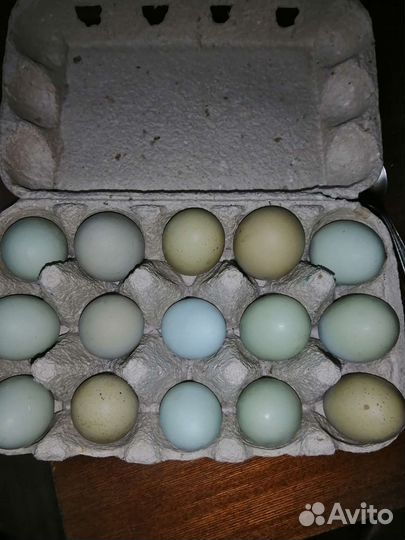 Яйца юхейилюй