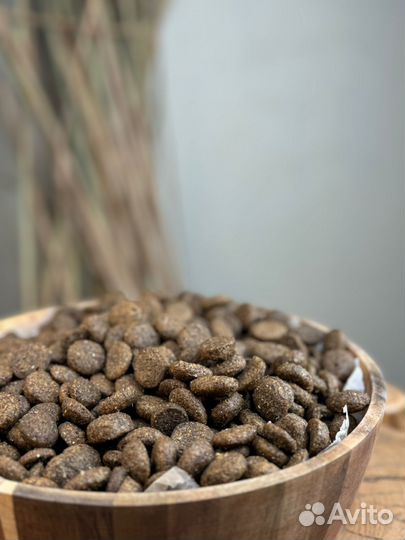 Корм для собак