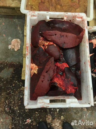 Мясо для собак и других животных с доставкой