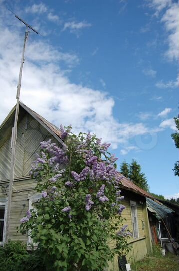 Участок 25 сот. (ИЖС)