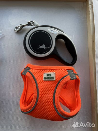 Поводок и шлейка для собаки