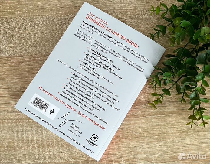 Книга Михаил Лабковский 