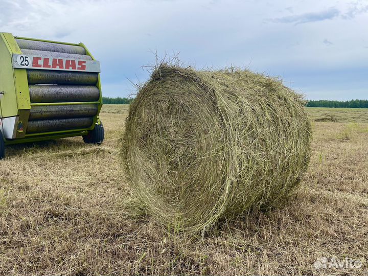 Сено в рулонах