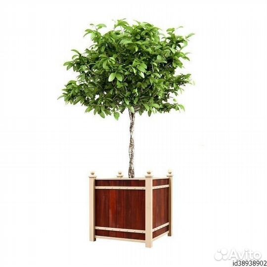 Деревянные кашпо от производителя