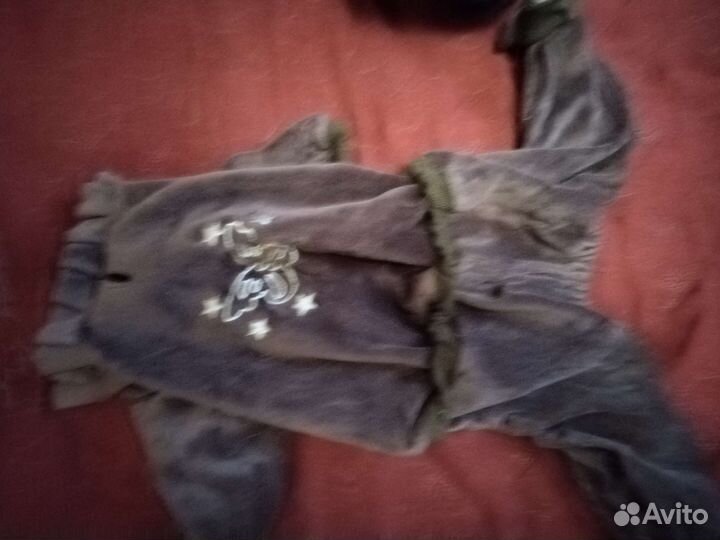 Одежда для собак