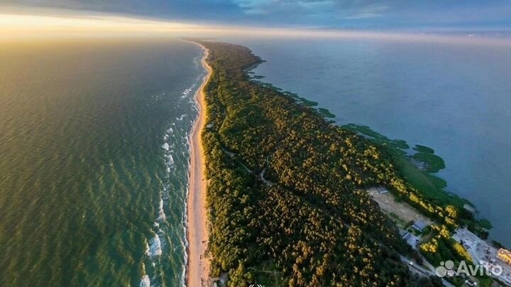 Экскурсии на Куршскую Косу