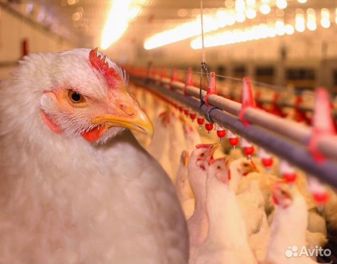 Подсобный рабочий