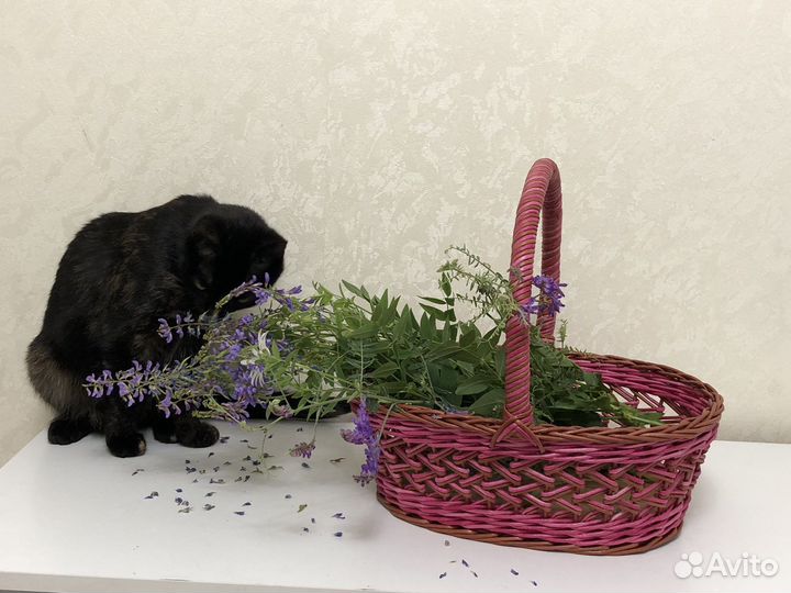 Корзина новая, ручная работа