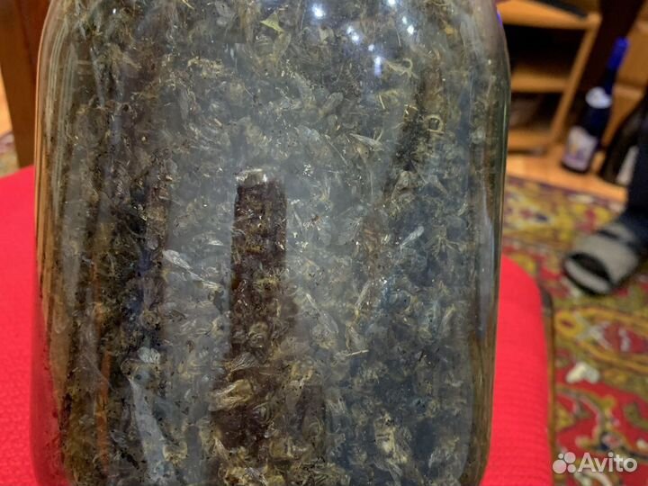 Зимний пчелиный подмор