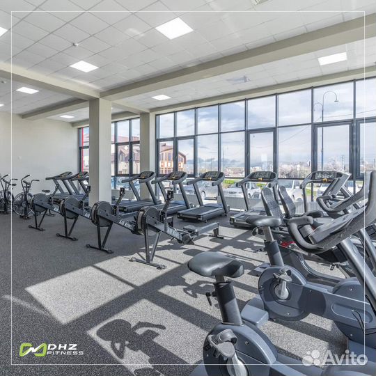 Профессиональные тренажеры DHZ