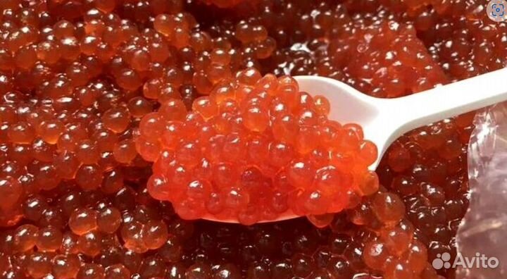 Икра кижуча доставка свежая