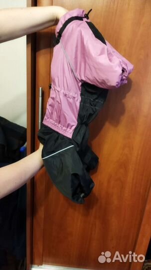 Дождевик для собаки средних пород