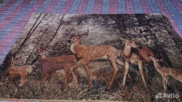 Ковер, палас