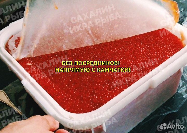 Красная икра горбуши