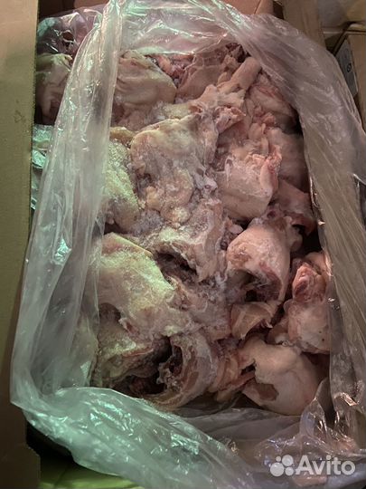 Спинки куриные