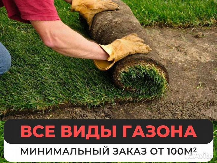 Продажа рулонного газона