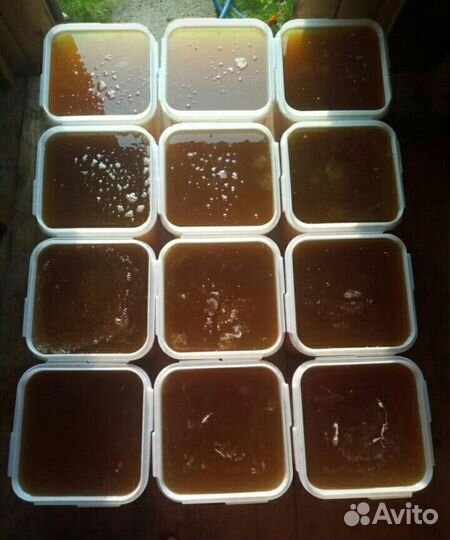 Свежее Разнотравье темное Качка 2023 год Опт