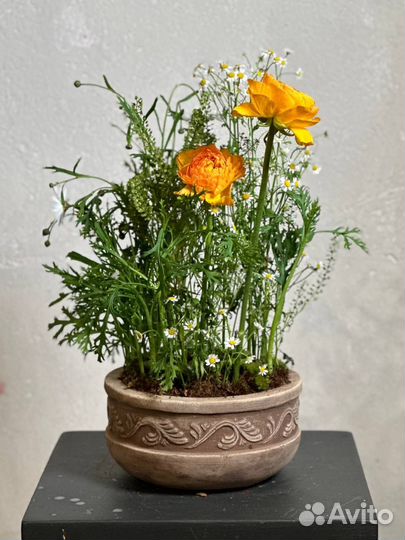 Флорист декоратор