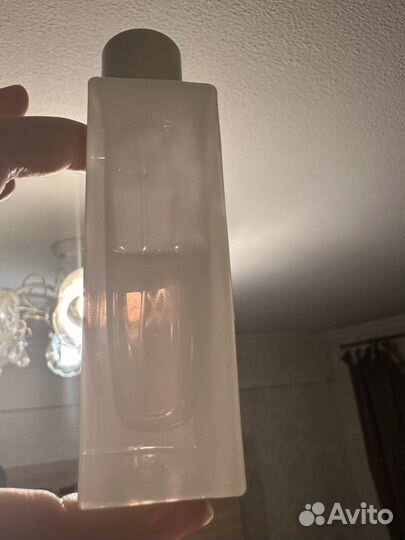 Zadig voltaire this is her