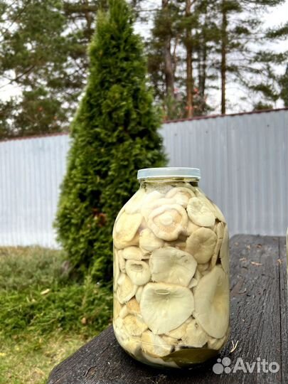 Грибы грузди холодного посола