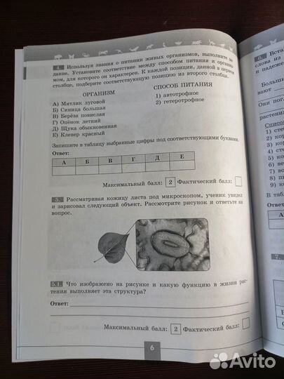 Биология Проверочные работы в формате ВПР 6 класс