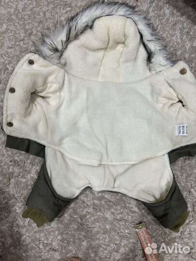 Одежда для собак мелких пород