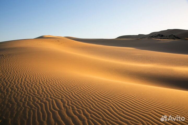 Махачкала Топ-Экскурсия Дагестанский топ: популярн