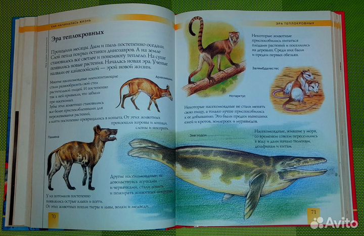 Моя первая энциклопедия + 130 вопросов