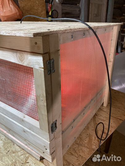 Брудер для цыплят