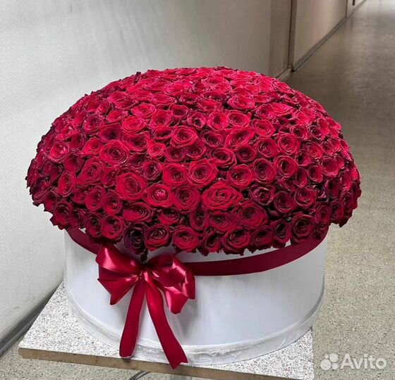 151 роза в коробке