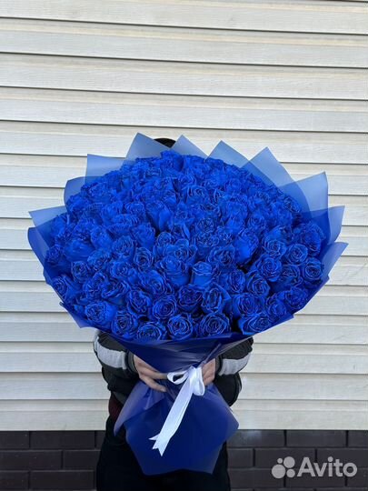 Синие розы Эквадор 101 шт 70 см