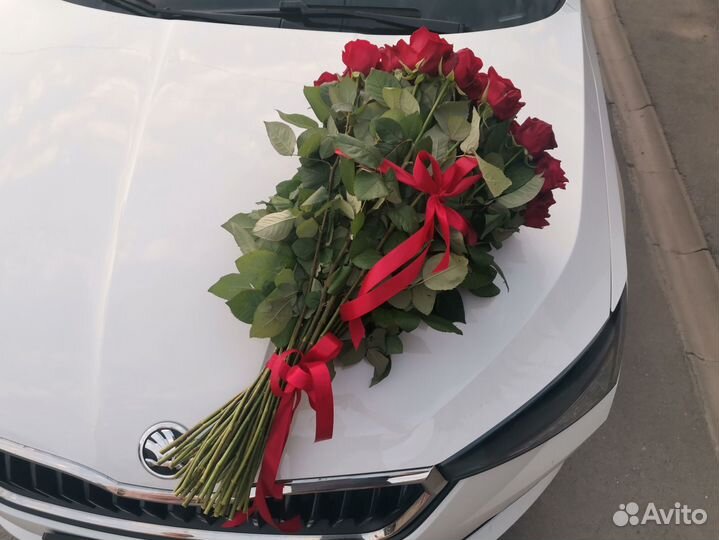 Букет роз. Розы