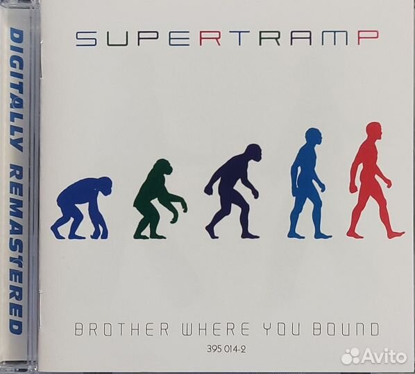 CD в ассортименте