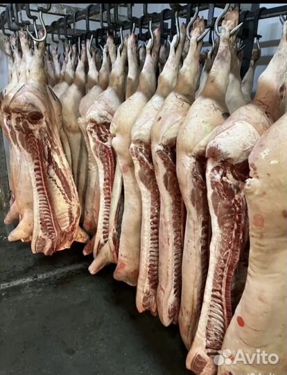 Полутуши свиные Надежда