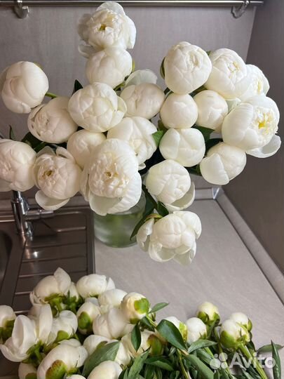Букет белых пионов