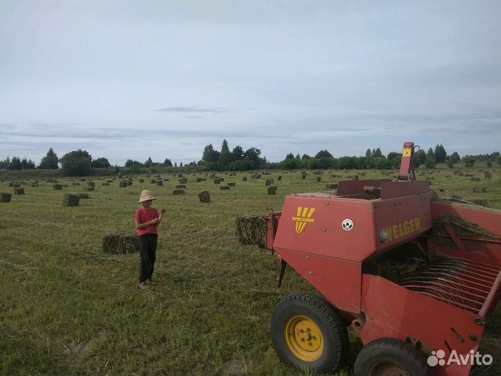 Сено сеяное, луговое, разнотравье