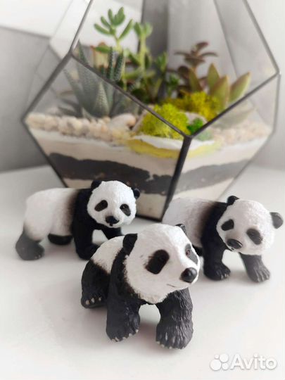 Флорариум для детей