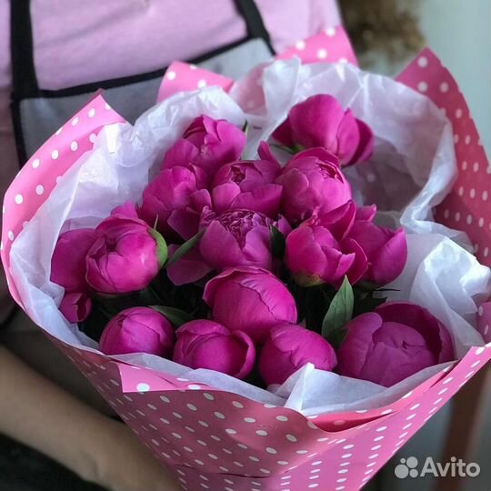 Пион Роза Москва 51 пион