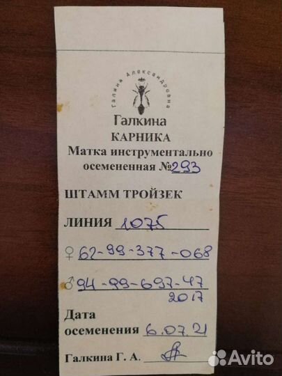 Пчеломатки карника