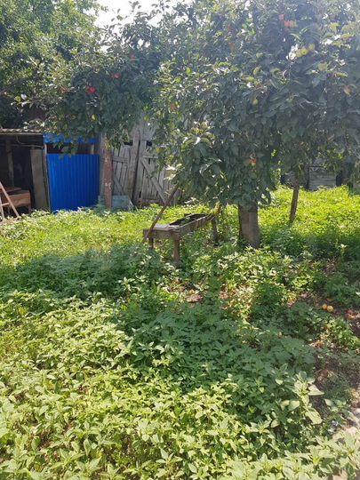 Дом 80 м² на участке 30 сот.