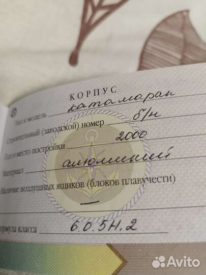 Катамараны янтарь