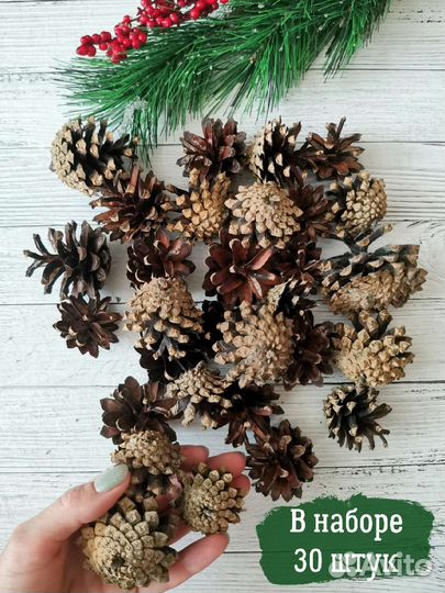 Шишки сосновые
